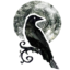 Логотип Confused Crow
